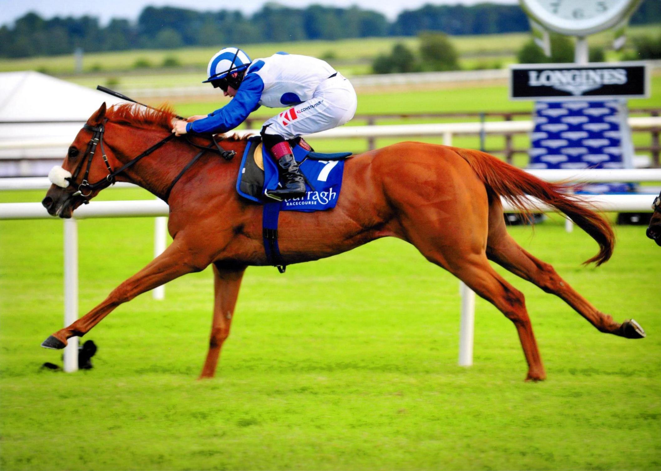 RADAR O REILLY wins his maiden with impressive style at The Curragh 24th June 2016